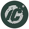 Icon primary